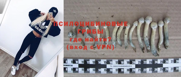2c-b Горняк