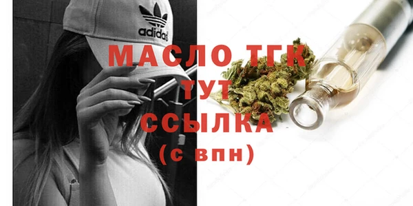 2c-b Горняк