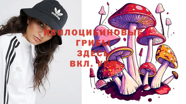 мескалин Горно-Алтайск