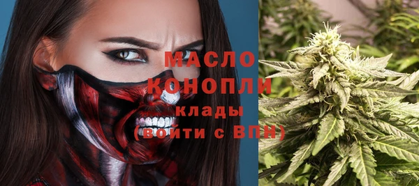 2c-b Горняк