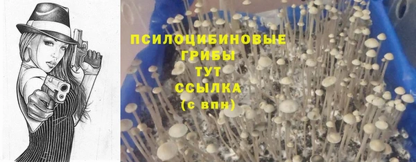 герыч Горнозаводск