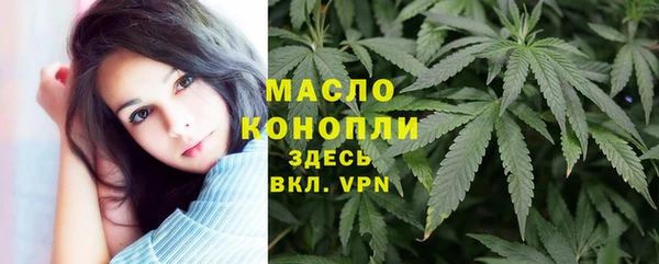 2c-b Гусев