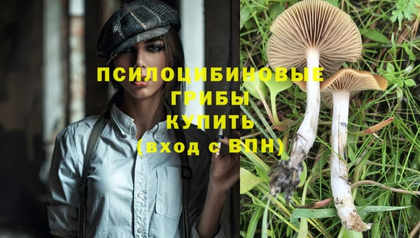 сатива Гусиноозёрск